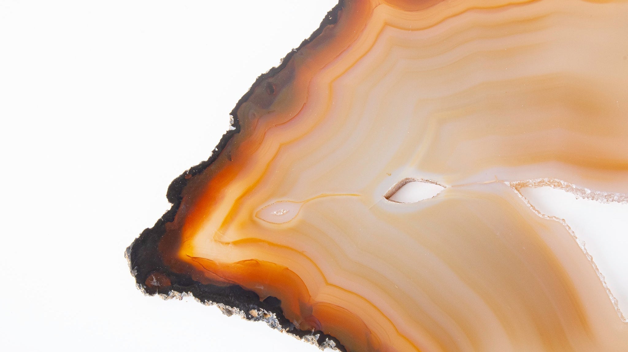 Slice of carnelian agate with druzy quartz