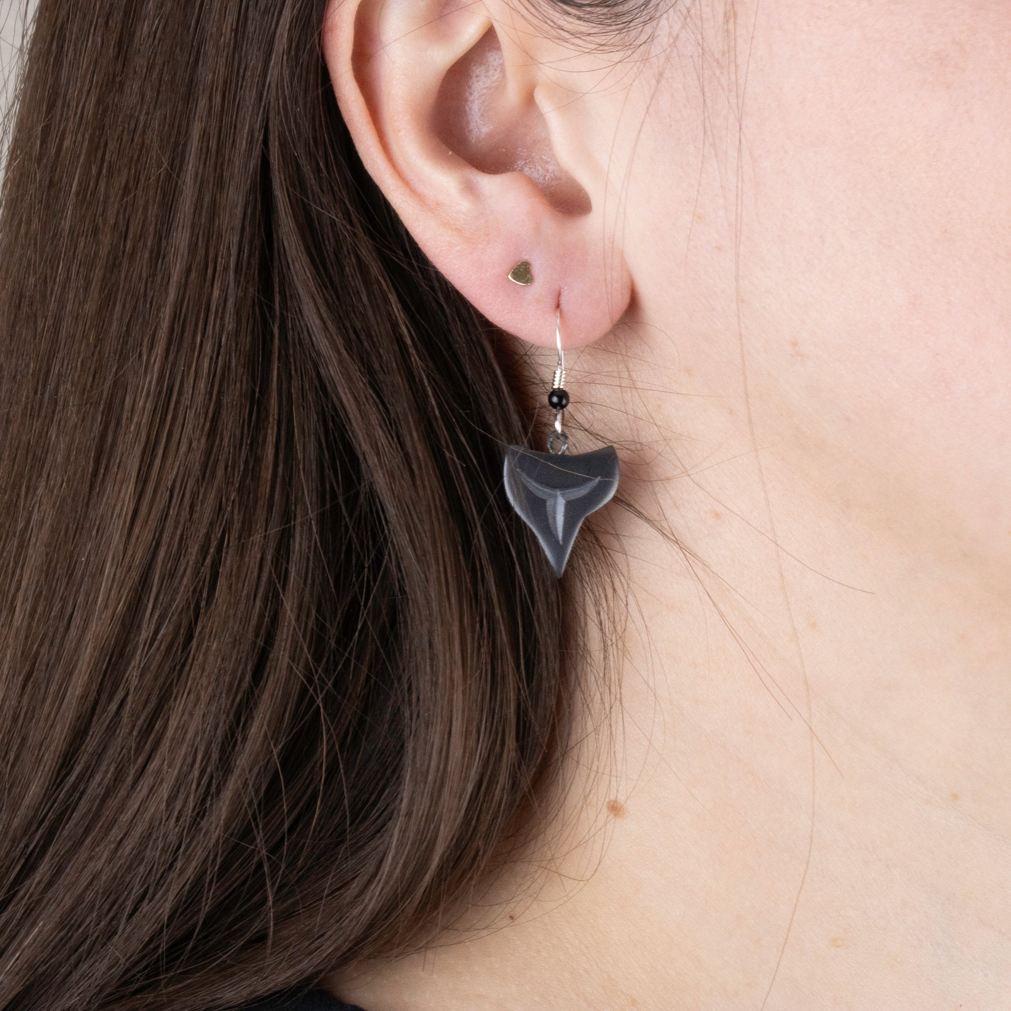 Argillite Shark tooth earrings with Shepard hooks with small black bead