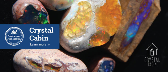 Crystal Cabin Selected as Northern Savings' Business of the Month!