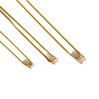 Gold Salmon bone Vertebrae necklaces charms on a white background