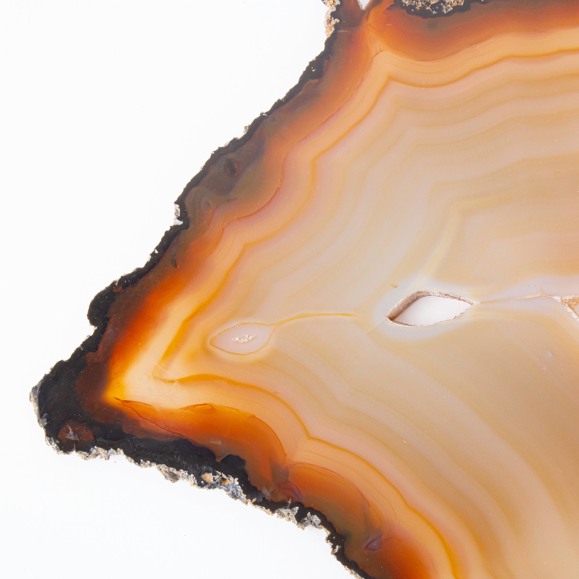 Carnelian Agate Slice with Druzy Quartz, corner view with bits of druzy