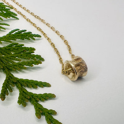 Salmon Bone Gold with Chain on a white back ground with a cedar sprig