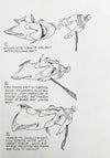 Drawings of a traditional Halibut Hook Catching a Halibut