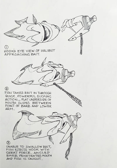 Drawings of a traditional Halibut Hook Catching a Halibut