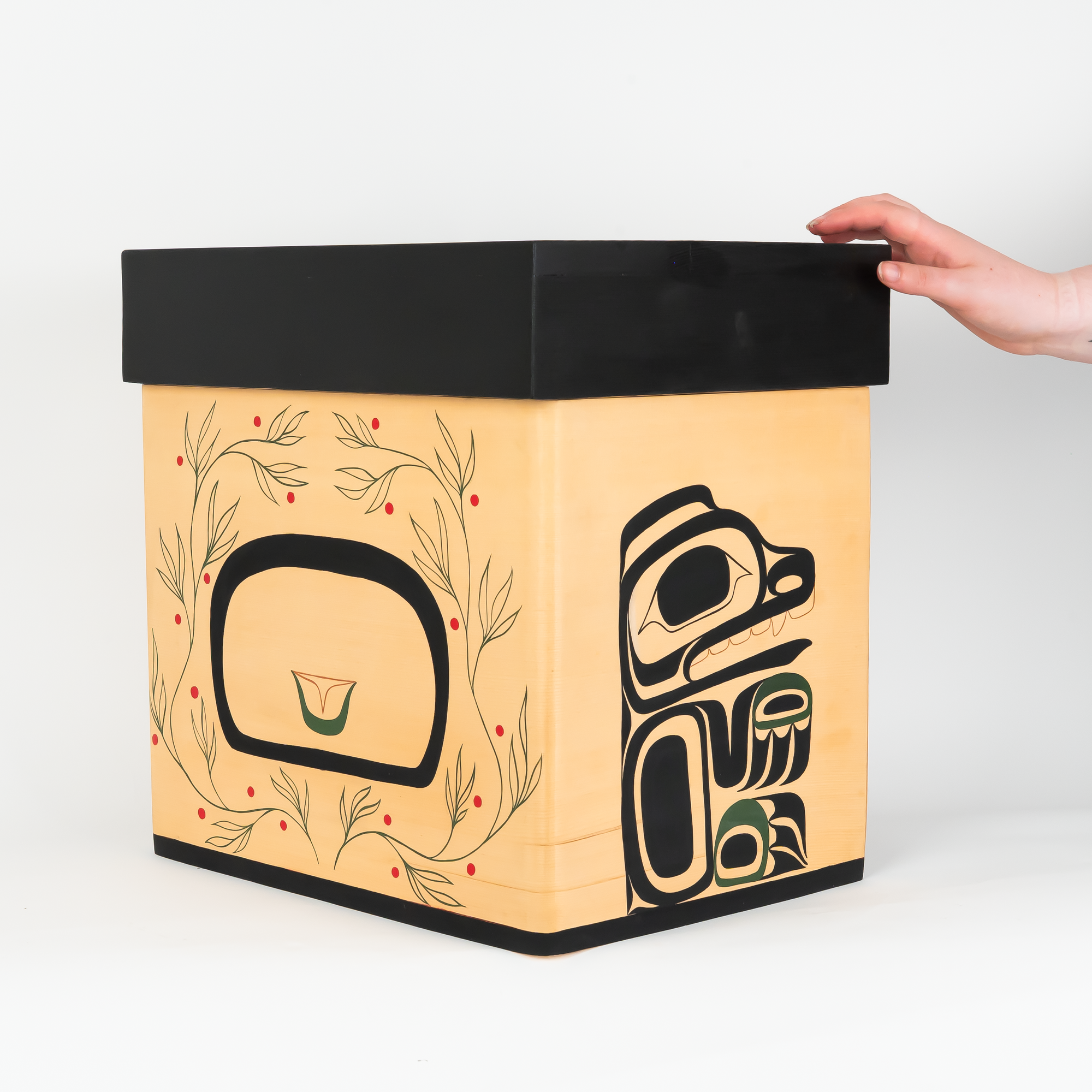 Original Haida Cedar Bentwood Chest showcasing back and left corner of box with human hand for size ratio