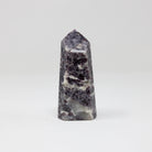Lepidolite Mica Polished Points 