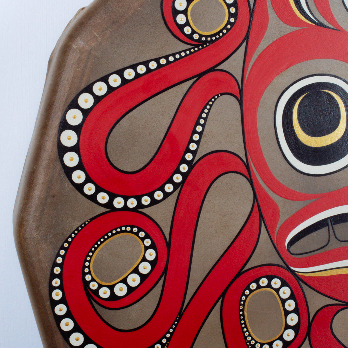 Close-up of tentacles of painted octopus design