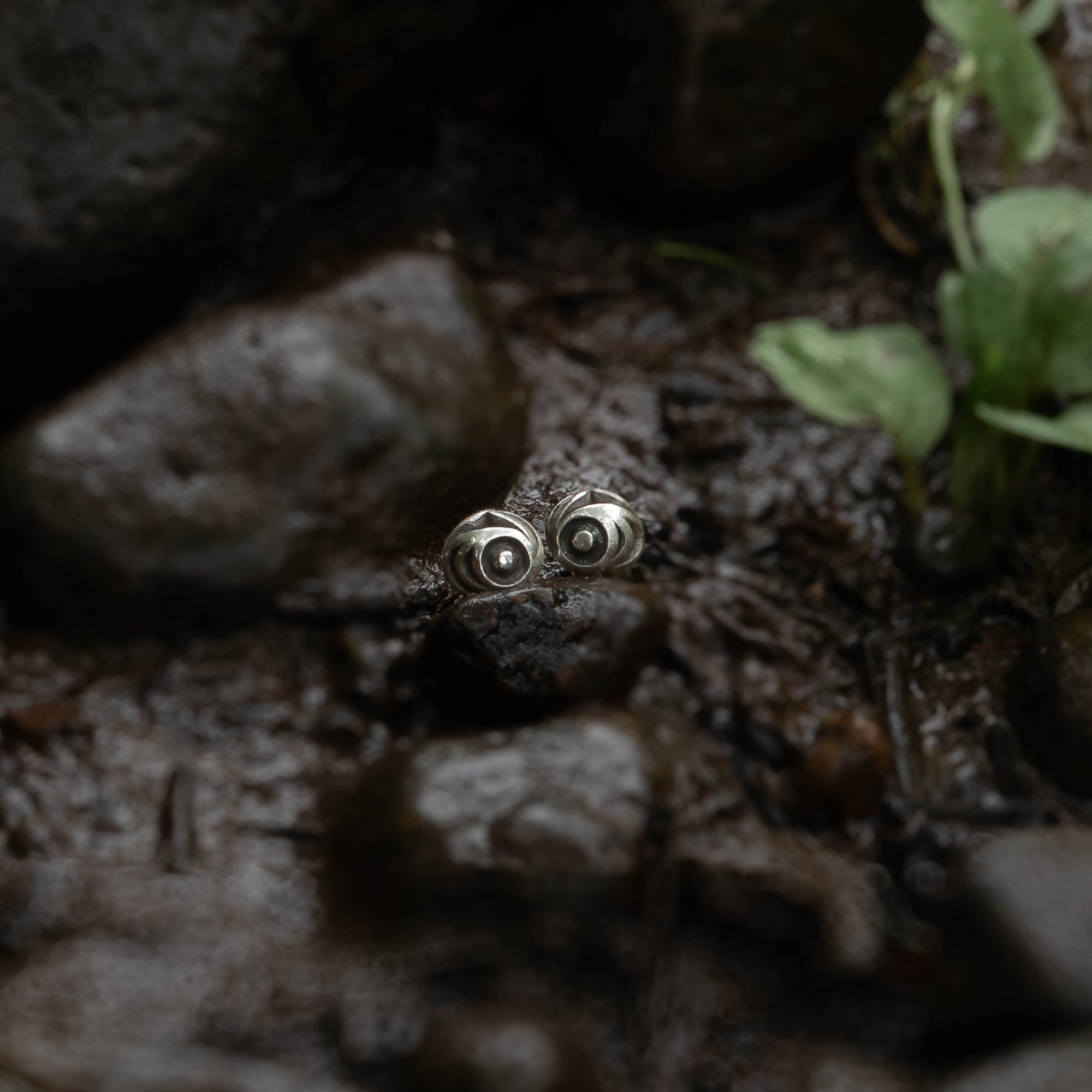 Pair of silver salmon Egg earrings on a forest background by Native artist Meaghan McRae