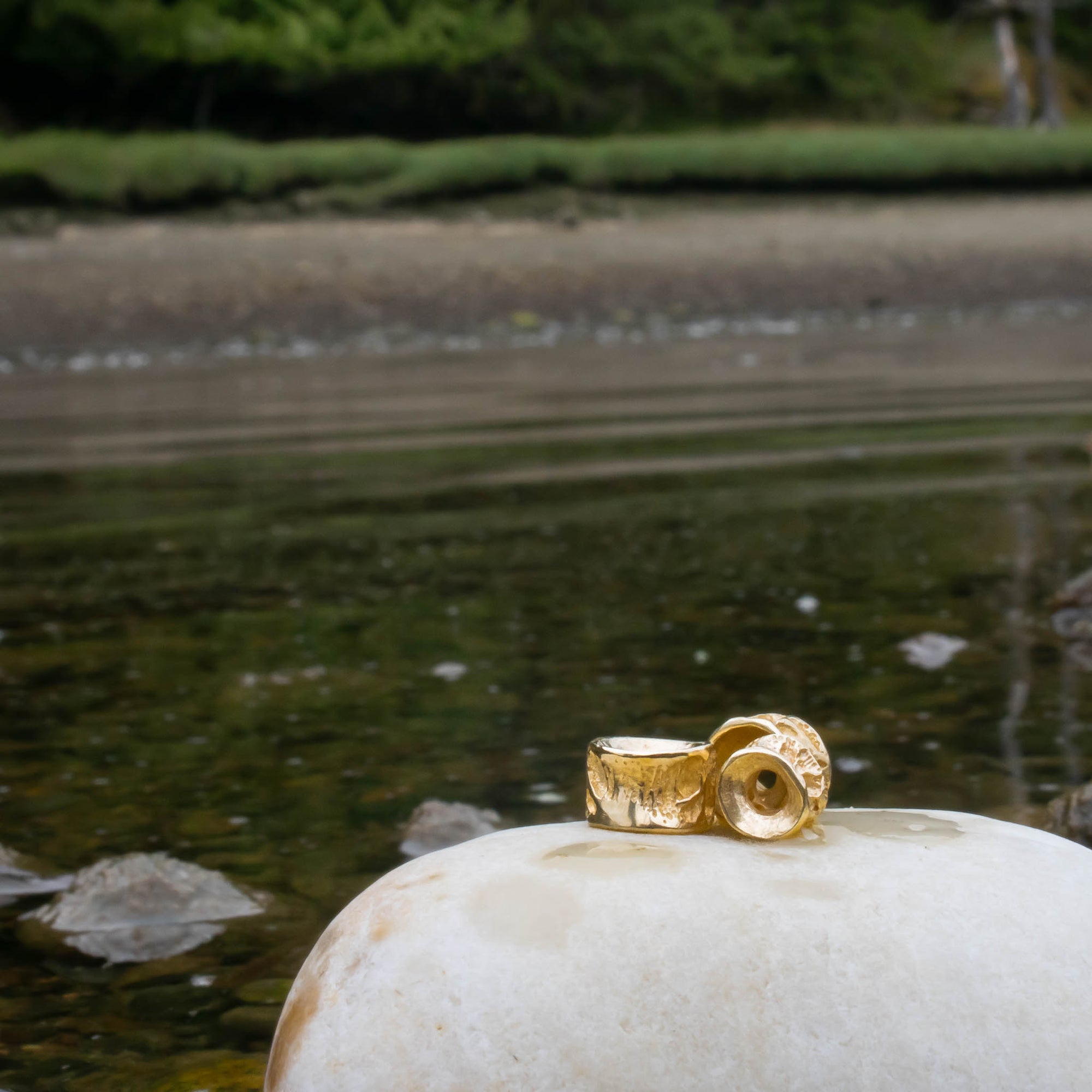10k Gold Salmon bone Vertebrae by Morgan Asoyuf on a rock with a blurred natural background