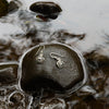 Pair of silver salmon egg earrings with black and white pattern by Indigenous Canadian Artist Meaghan Mcrae on a wet stone with water and rocks in the background