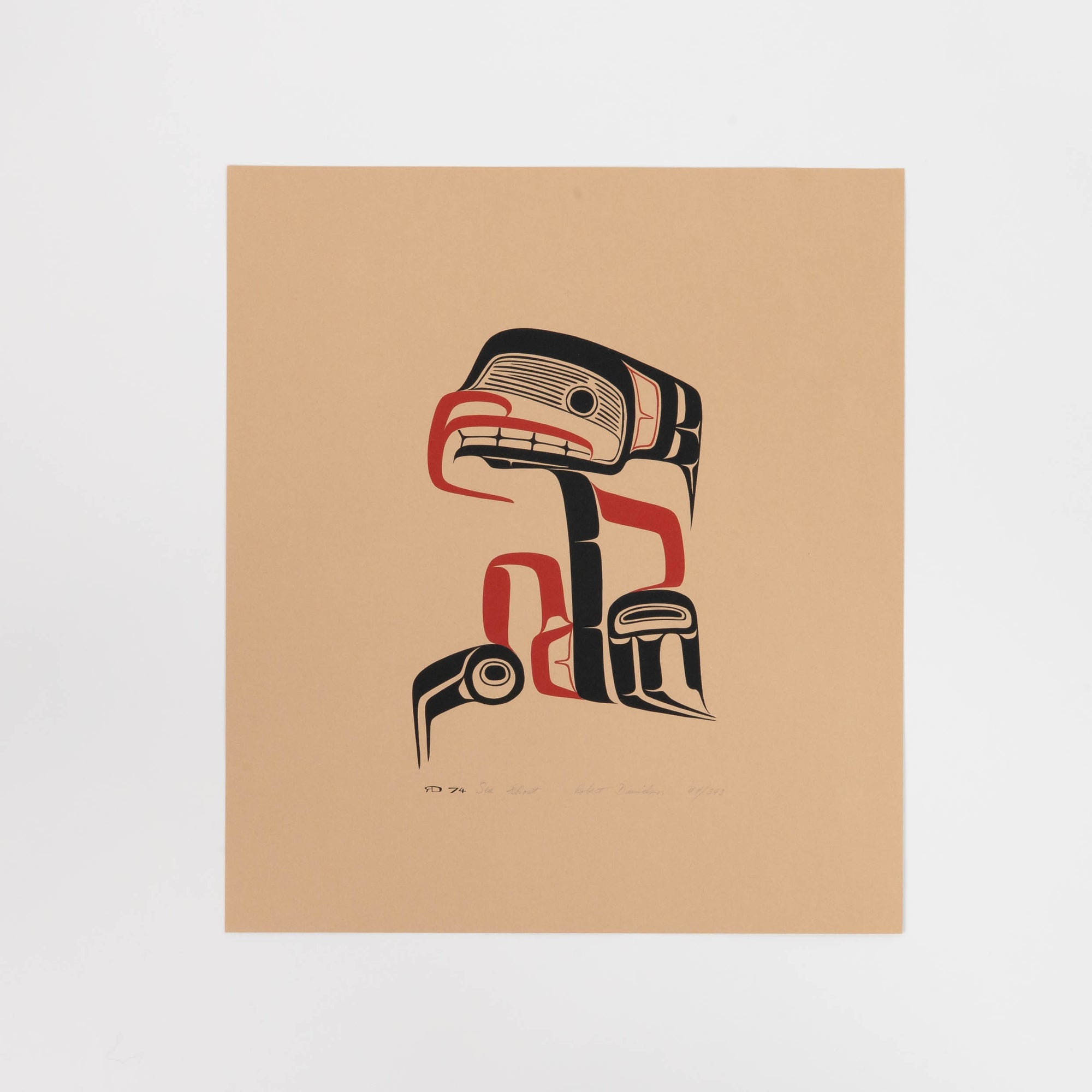 Sea Ghost by Robert Davidson (Haida)