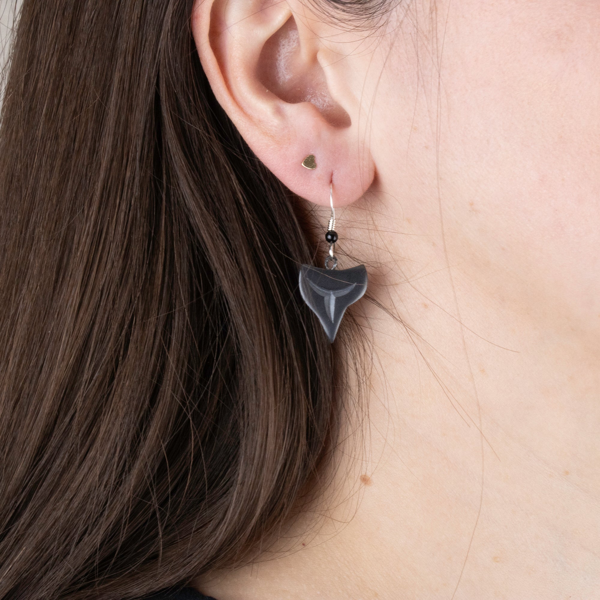 Argillite Shark tooth earrings with  Shepard hooks with small black bead