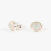 Pair of opal stud earrings on a white background