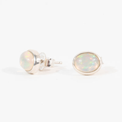 Pair of opal stud earrings on a white background