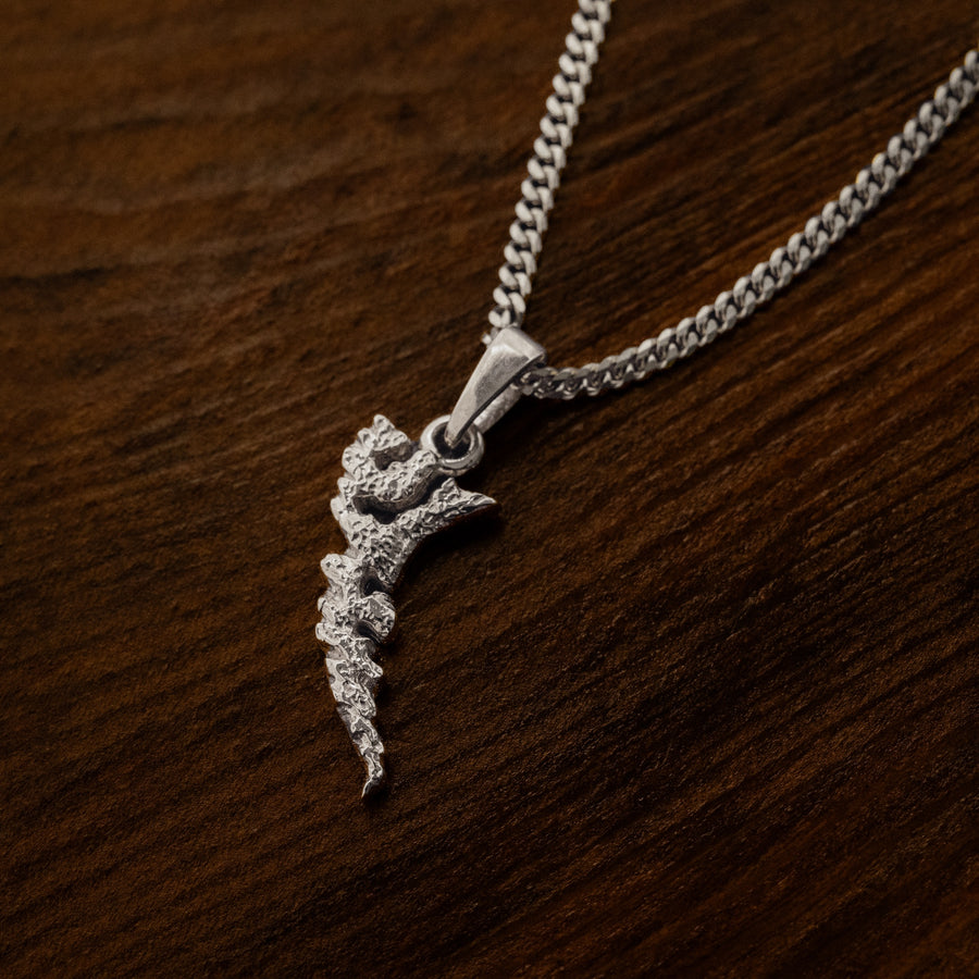 Haida Gwaii Pendant - Sterling Silver