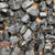 Black Tourmaline Rough