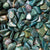 Bloodstone Tumbled