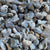 Blue Island Mist Agate Tumbled