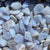 Blue Lace Agate Tumbled