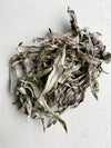 This Canadian Sage Smudging Loose Leaves Healing Herbs Ceremony Incense Stick is picked Indigenous people & elders & is sold by Crystal Cabin.