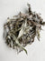 Canadian Sage
