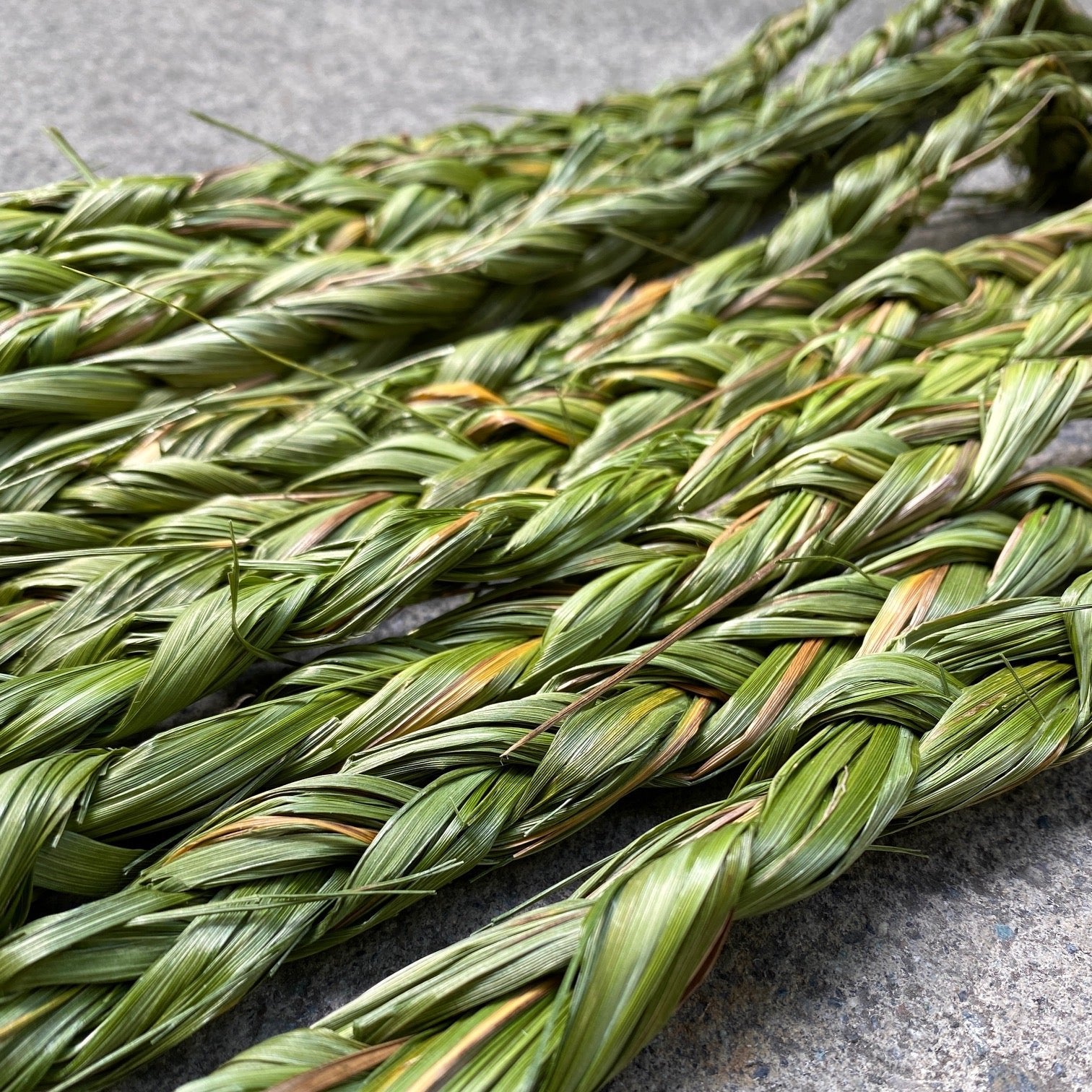 Canadian Sweetgrass Braid for Smudging, Healing, Ceremony,  Incense Stick is picked by Canadian Indigenous people & elders.