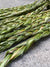 Canadian Sweetgrass Braid